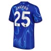 Officiële Voetbalshirt Chelsea Caicedo 25 Thuis 2024-25 - Heren